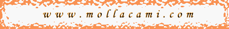 www.ihya.org